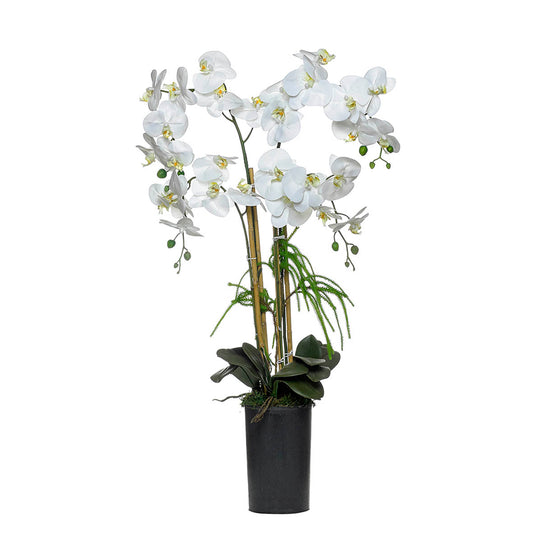 Arranjo artificial de Orquídea