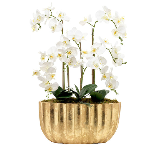 Arranjo Floral - Esmeralda Gold