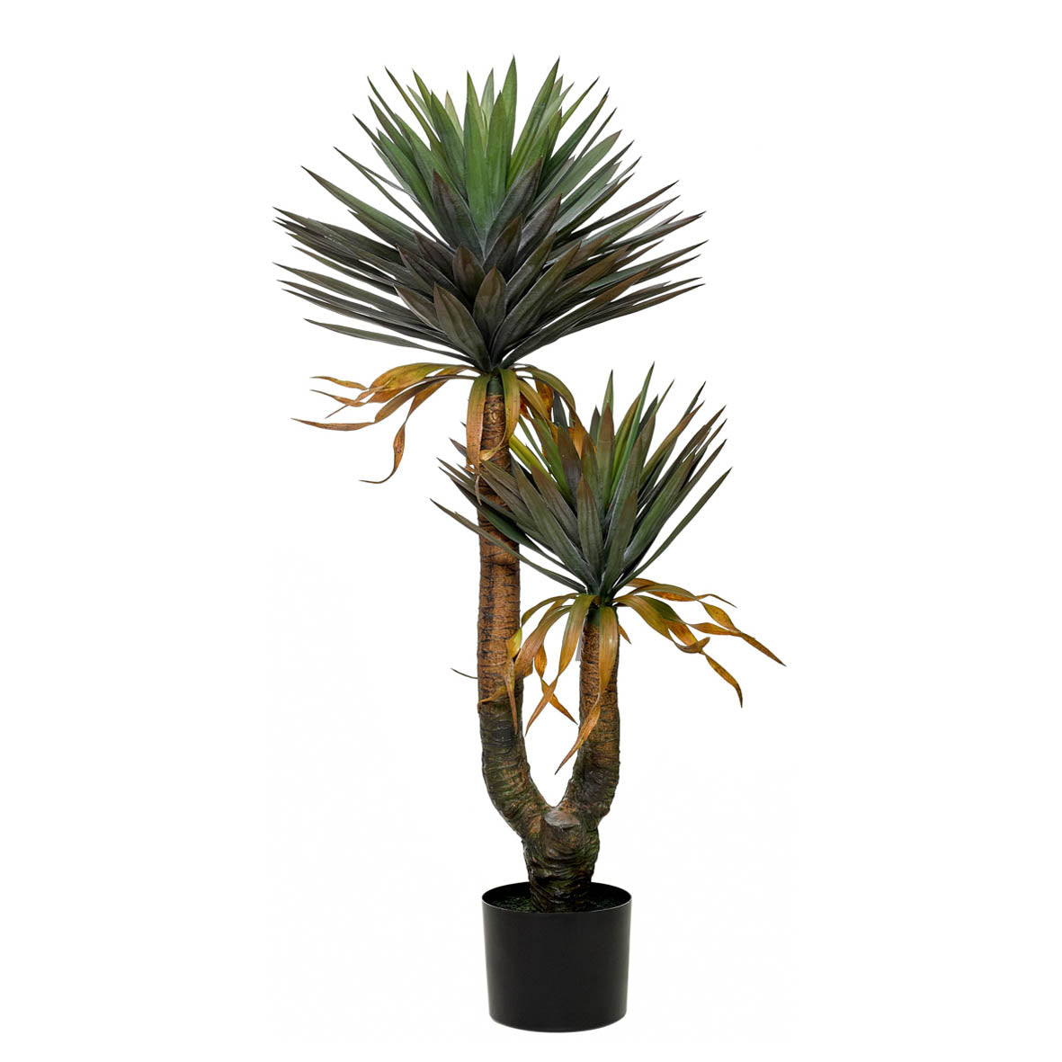 Yucca Artificial