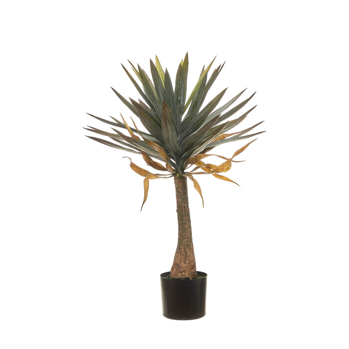 Yucca Artificial