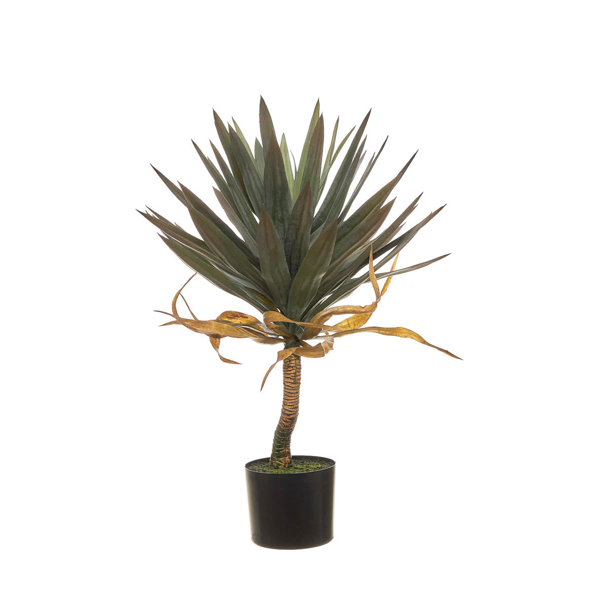 Yucca Artificial