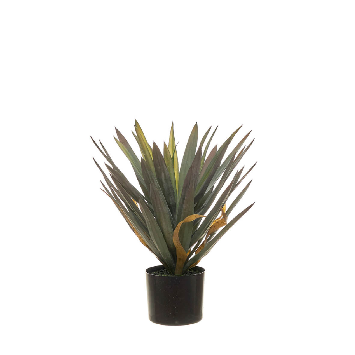 Yucca Artificial