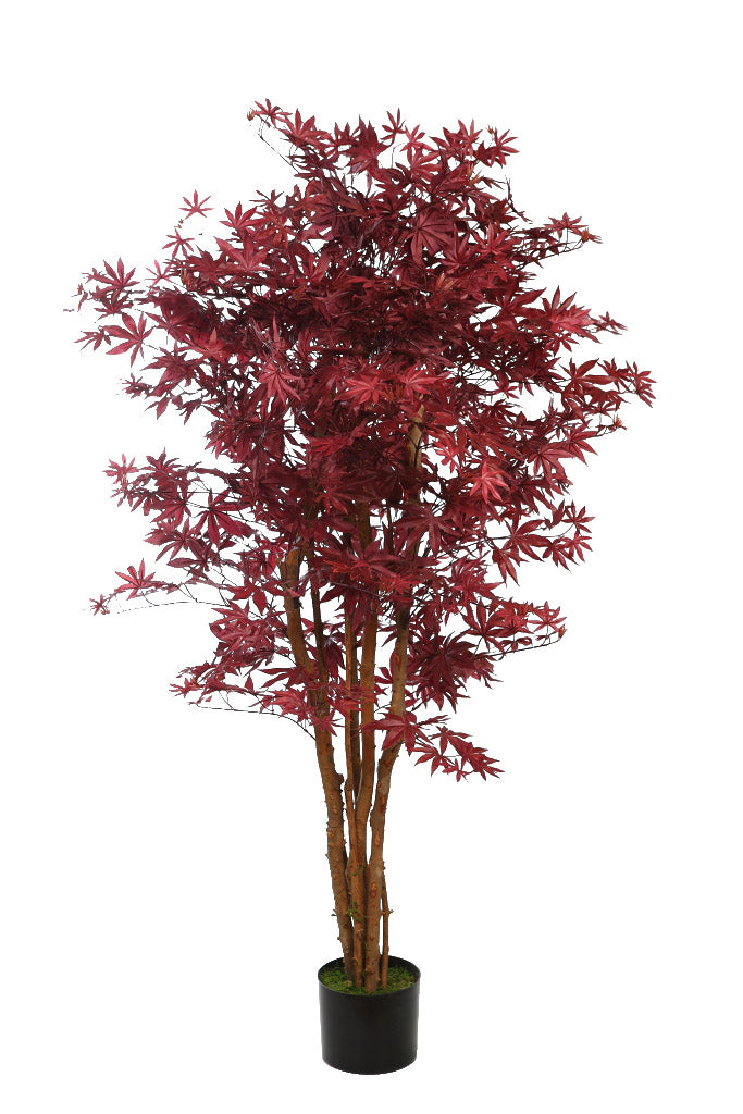 Planta Artificial Maple