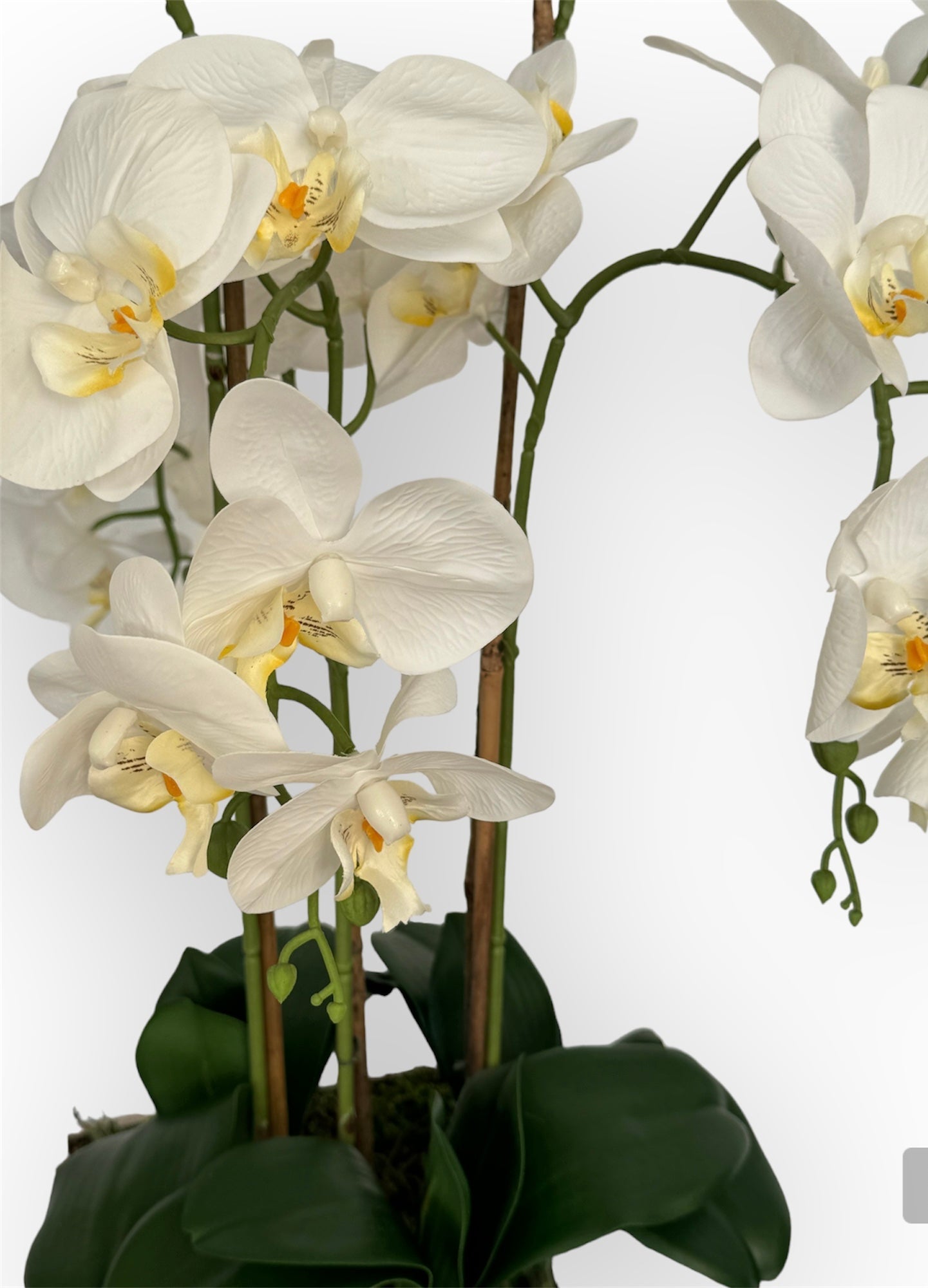 Arranjo Artificial Orquidea